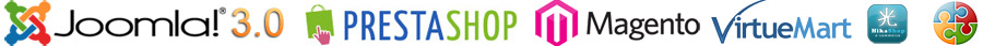 developpement de site internet professionnel